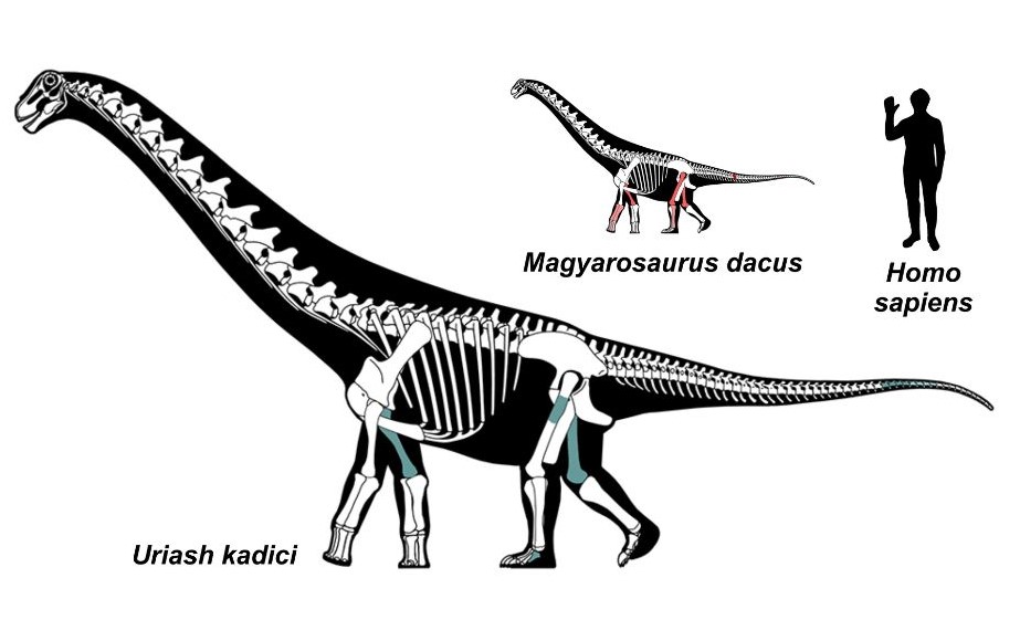 Foto: Facebook/ Geoparcul Internațional U N E S C O Țara Hațegului