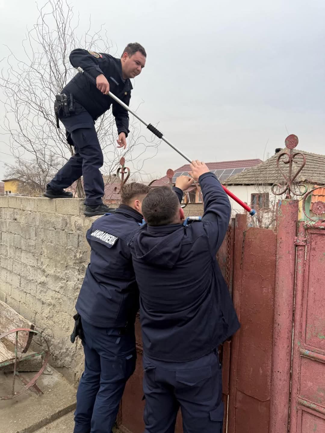 FB_IMG_1739642294360 - Jurnalul Olteniei – Știri din Craiova și Oltenia