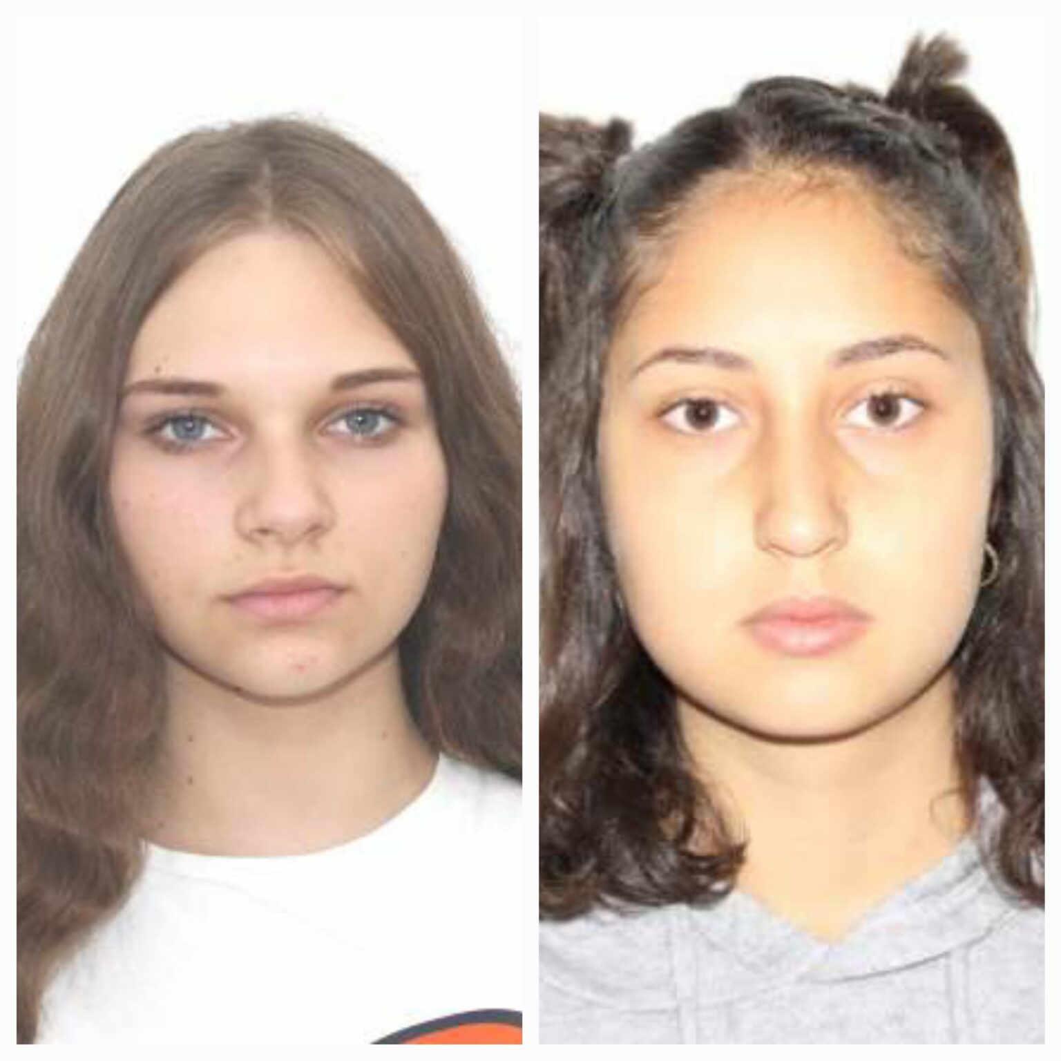 IMG-20250209-WA0031 - Jurnalul Olteniei – Știri din Craiova și Oltenia