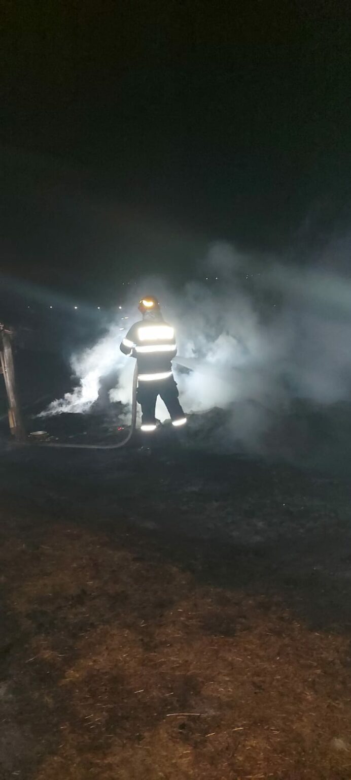 WhatsApp Image 2025-02-07 at 09.20.14_f65ef18c - Jurnalul Olteniei – Știri din Craiova și Oltenia