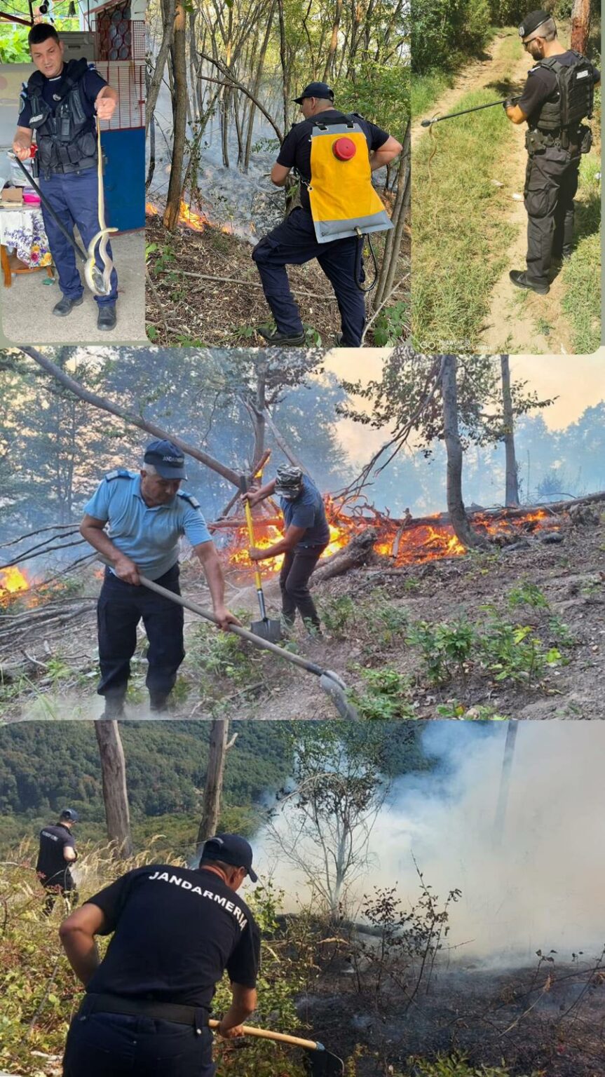 WhatsApp Image 2025-02-11 at 10.59.58 - Jurnalul Olteniei – Știri din Craiova și Oltenia