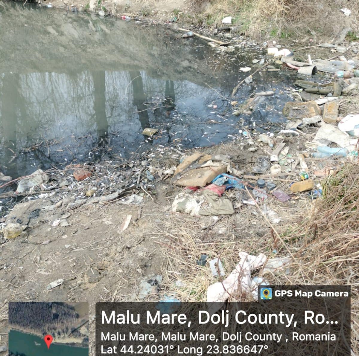 398fbfcd-36b3-4f2d-9d08-7c81522f2c34 - Jurnalul Olteniei – Știri din Craiova și Oltenia