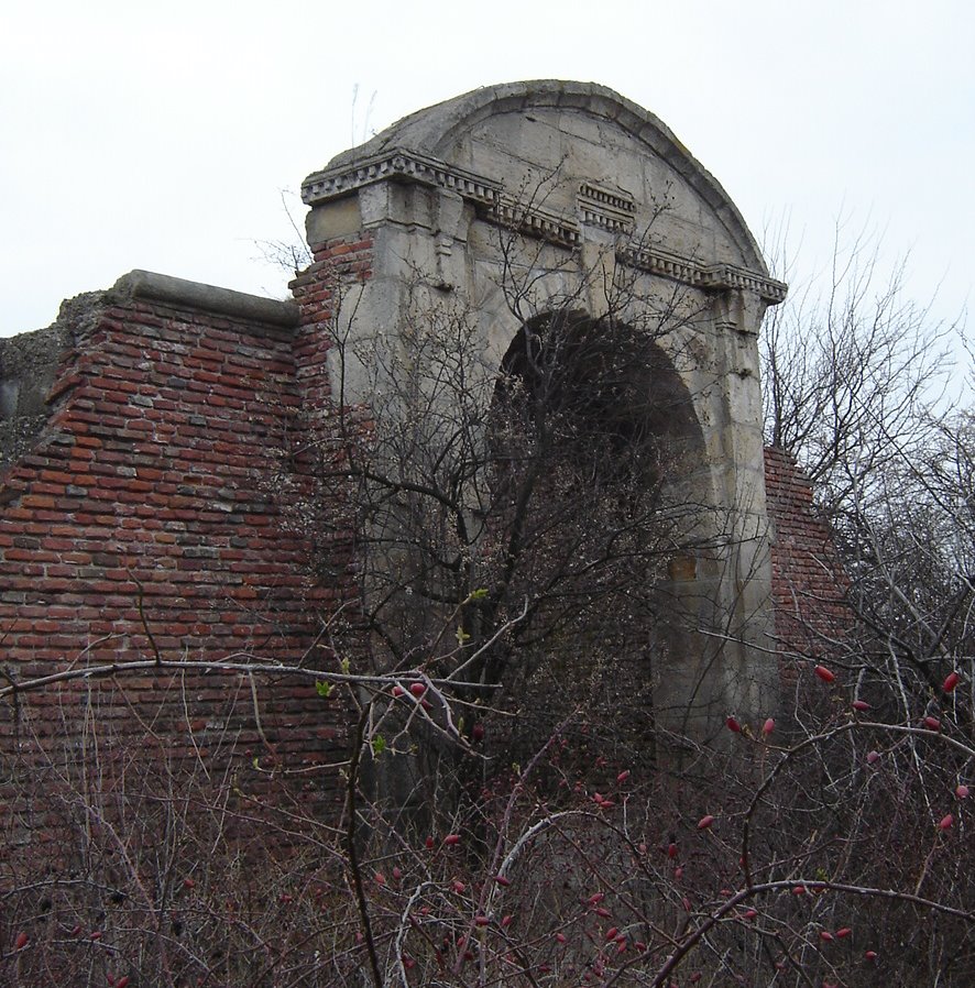 Ada-Kaleh_portal - Jurnalul Olteniei – Știri din Craiova și Oltenia Restaurarea Cetății Ada Kaleh de pe Insula Șimian: Proiect depus de CJ Mehedinți