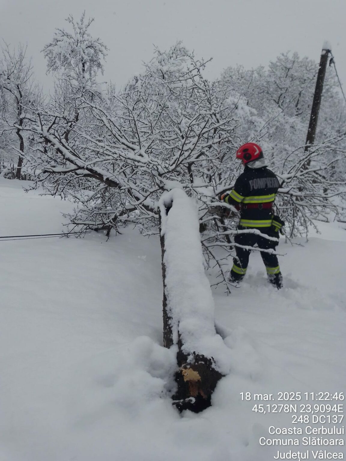 IMG-20250318-WA0018 - Jurnalul Olteniei – Știri din Craiova și Oltenia