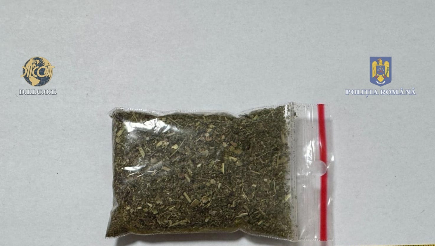 - Jurnalul Olteniei – Știri din Craiova și Oltenia