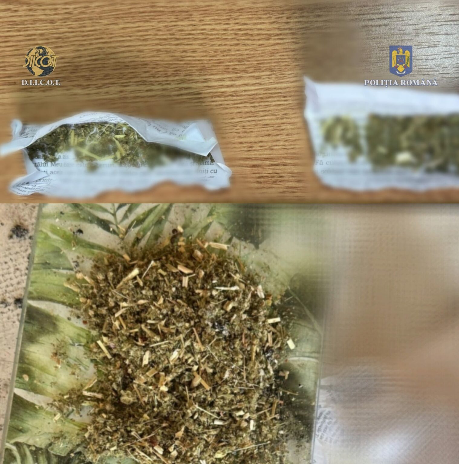 droguri - Jurnalul Olteniei – Știri din Craiova și Oltenia