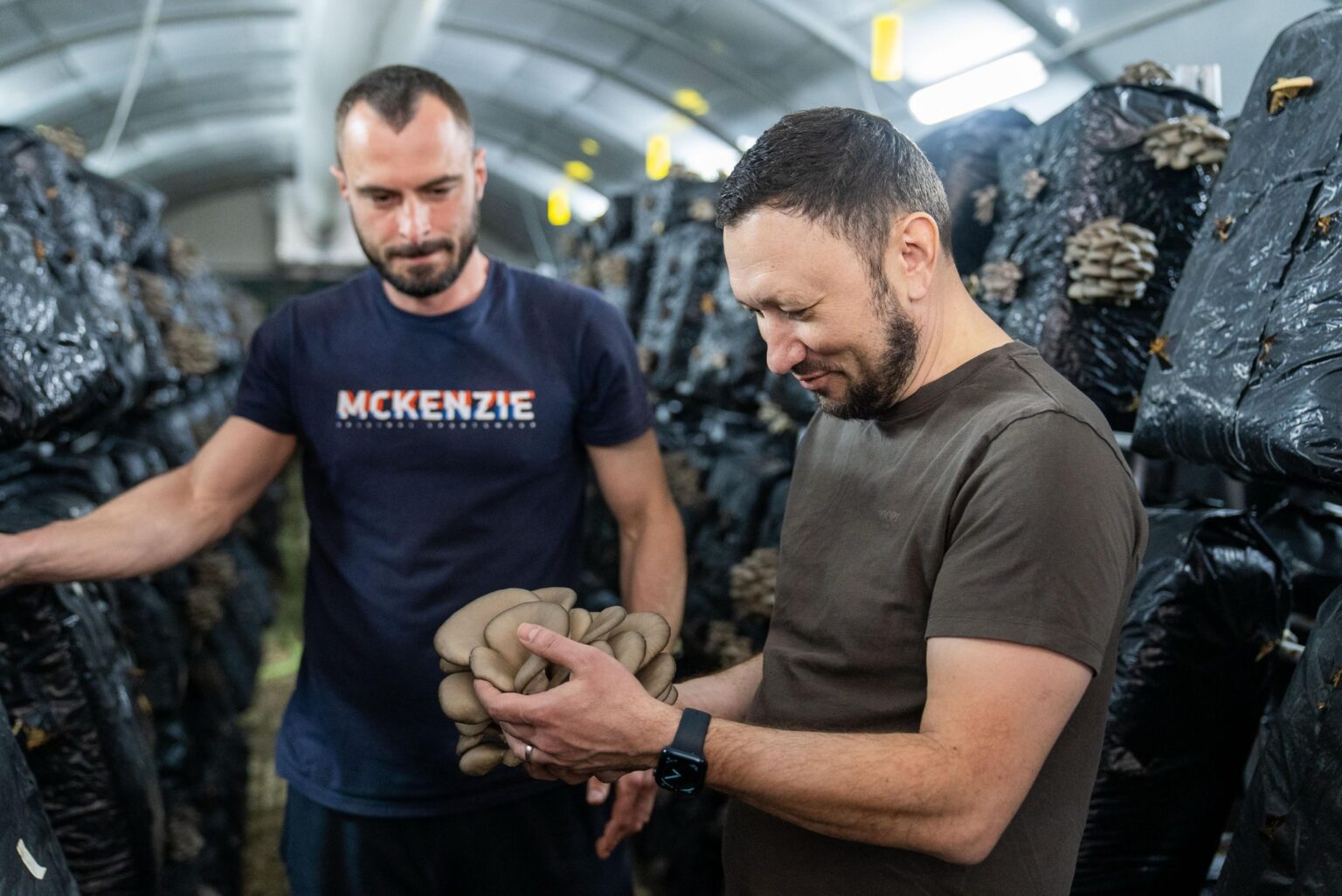 fechet celaru ciuperci - Jurnalul Olteniei – Știri din Craiova și Oltenia