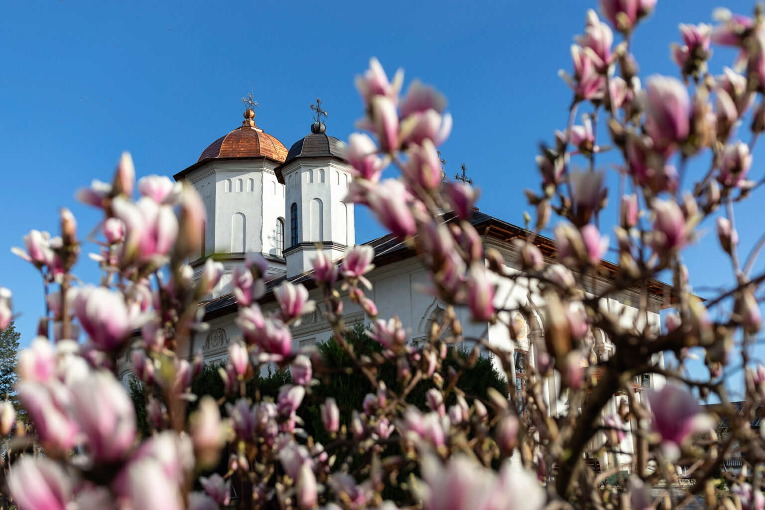 Foto: Facebook/ Mănăstirea Cernica - Jurnalul Olteniei – Știri din Craiova și Oltenia Foto: Facebook/ Mănăstirea Cernica