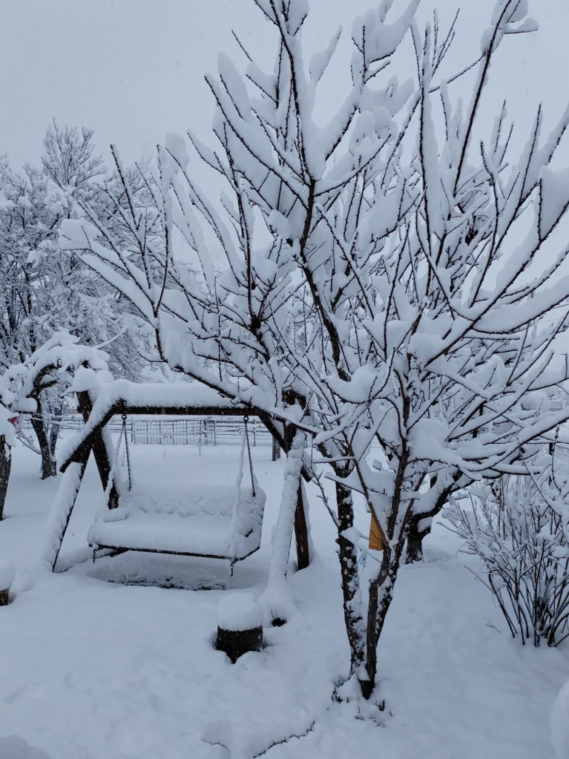 Foto: Facebook/ Meteoplus