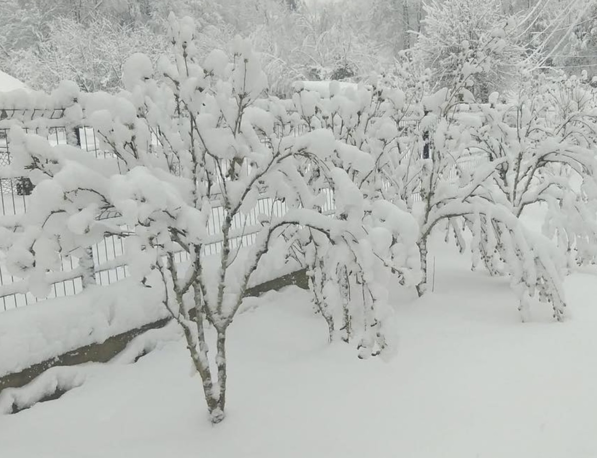 Foto: Facebook/ Meteoplus