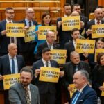 Foto: Facebook/ Alianța pentru Unirea Românilor - AUR