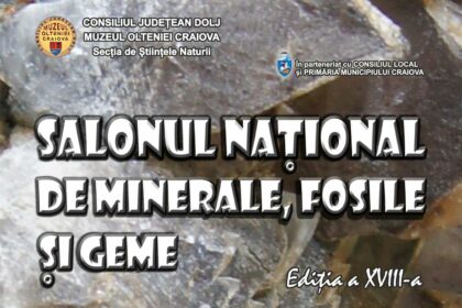 Foto: Facebook/ Muzeul Olteniei