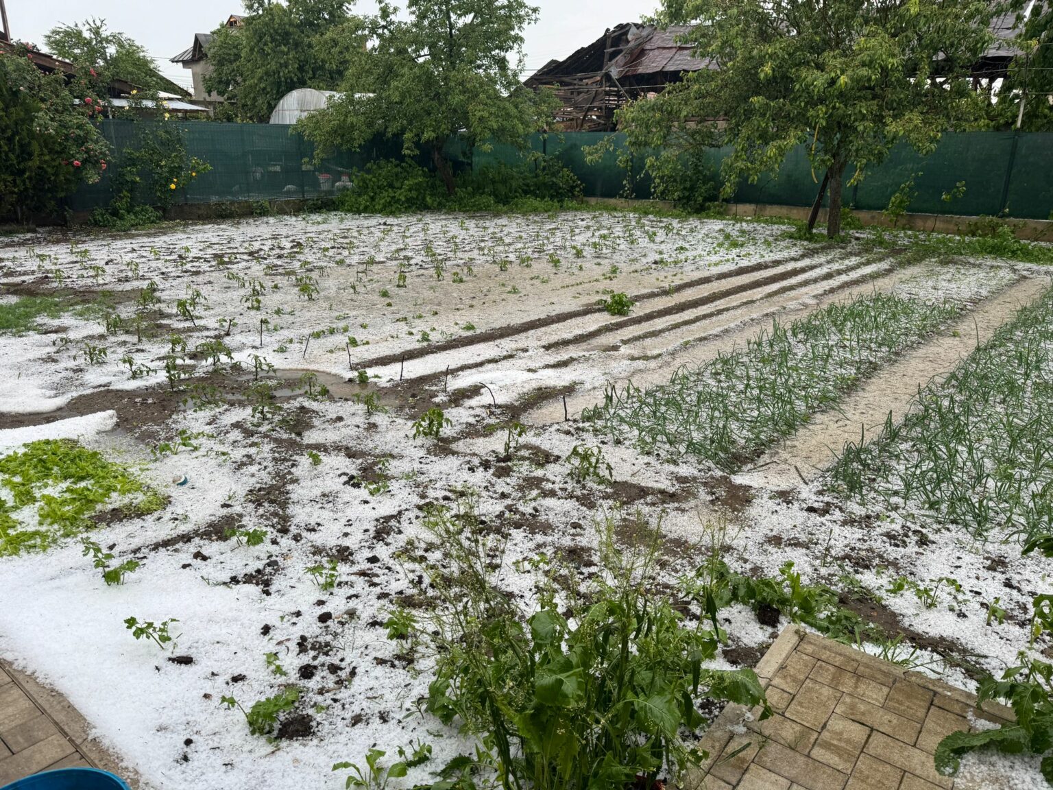 Foto: Facebook/ Meteoplus