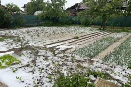 Foto: Facebook/ Meteoplus