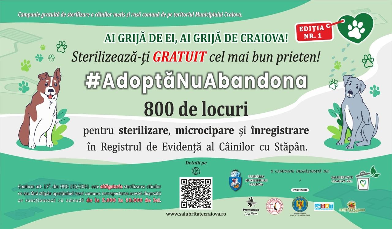 cover campanie sterilizare caini cu stapan - Jurnalul Olteniei – Știri din Craiova și Oltenia