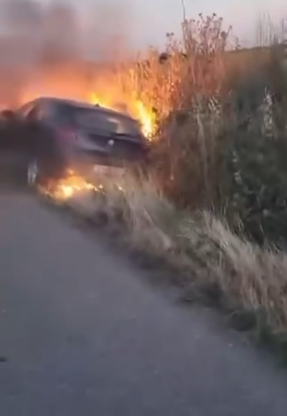 WhatsApp Image 2025-07-02 at 08.58.39 - Jurnalul Olteniei – Știri din Craiova și Oltenia