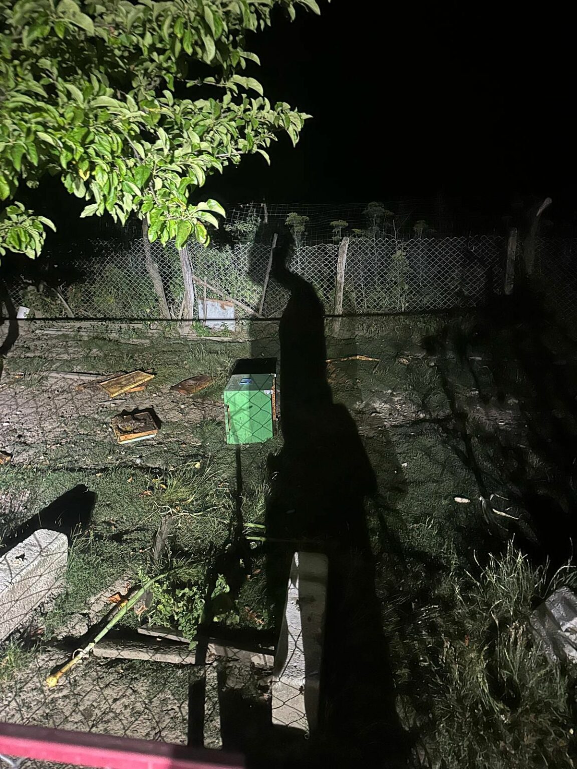 urs gospodarie vl - Jurnalul Olteniei – Știri din Craiova și Oltenia