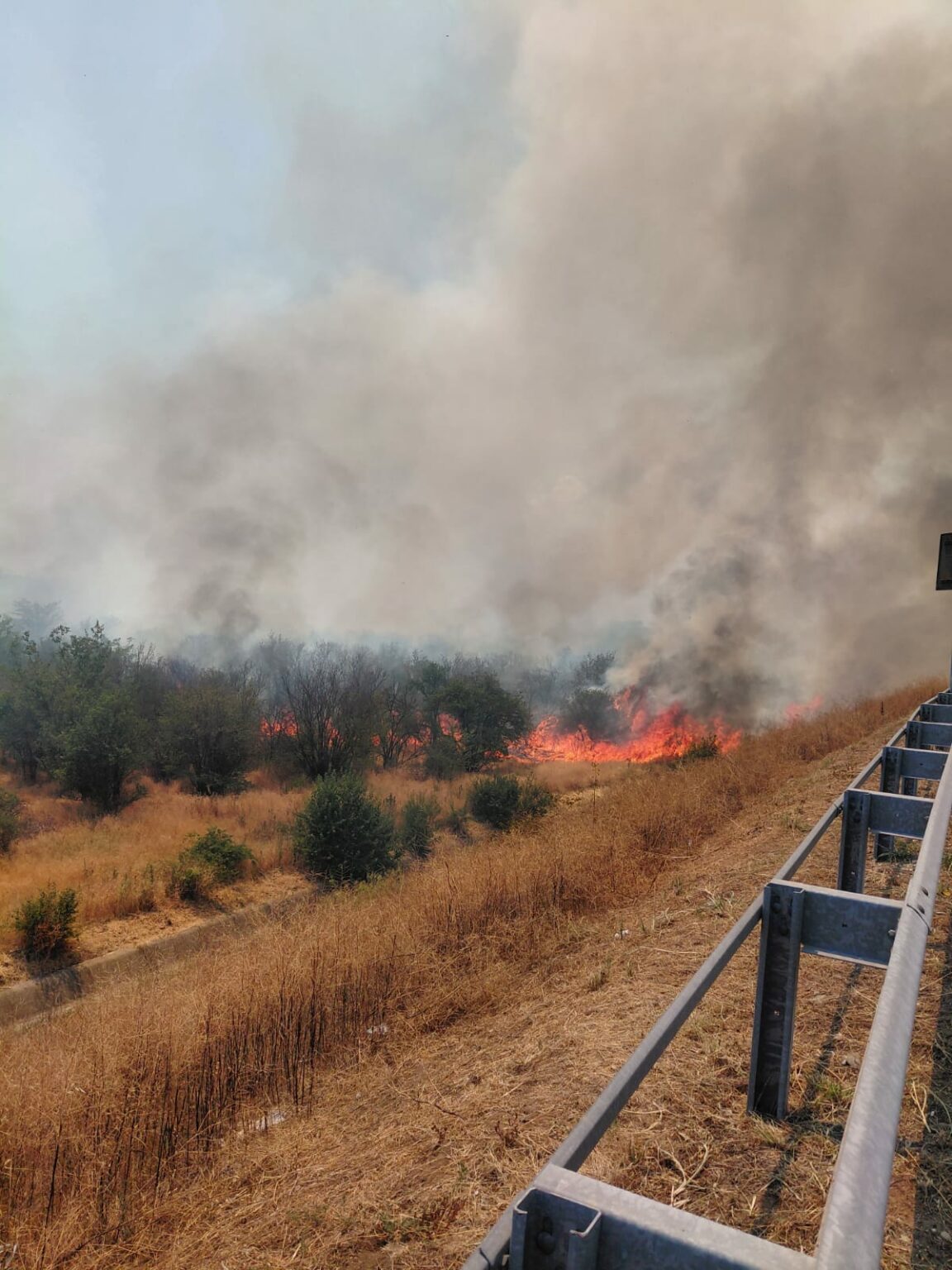 - Jurnalul Olteniei – Știri din Craiova și Oltenia