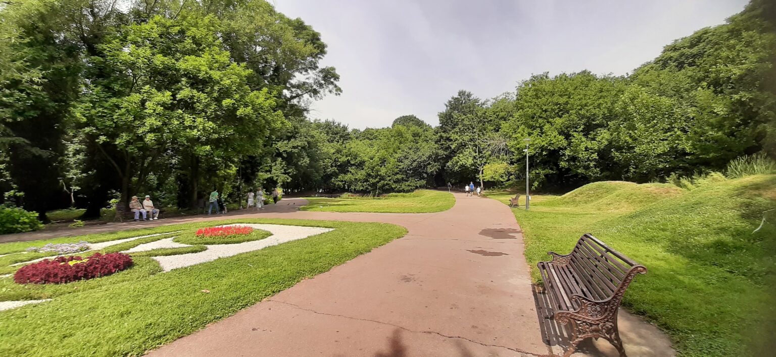 botanica intrare - Jurnalul Olteniei – Știri din Craiova și Oltenia