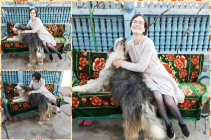 Foto: Facebook/Apele Române Jiu