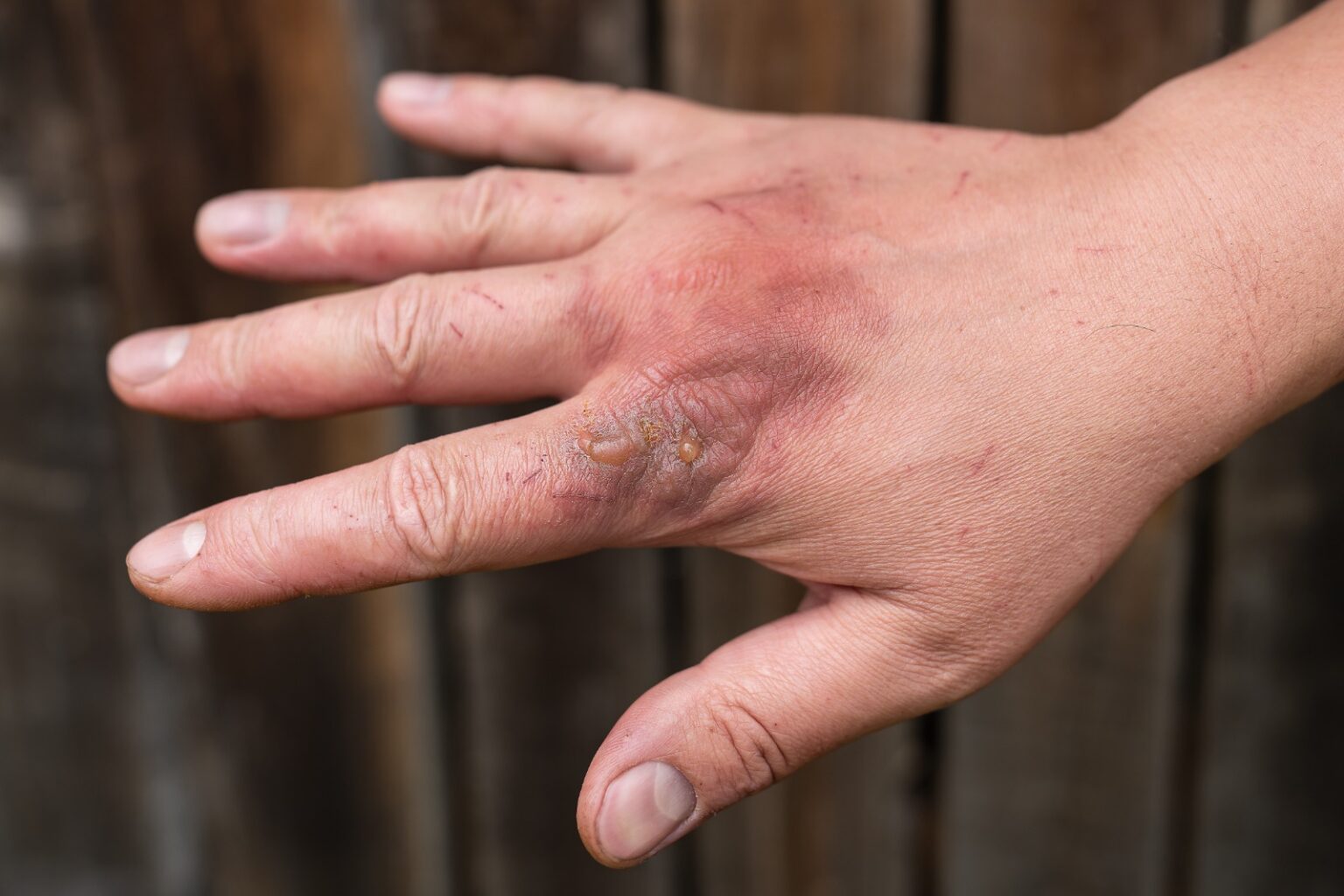 WhatsApp Image 2025-08-19 at 150331 - Jurnalul Olteniei – Știri din Craiova și Oltenia