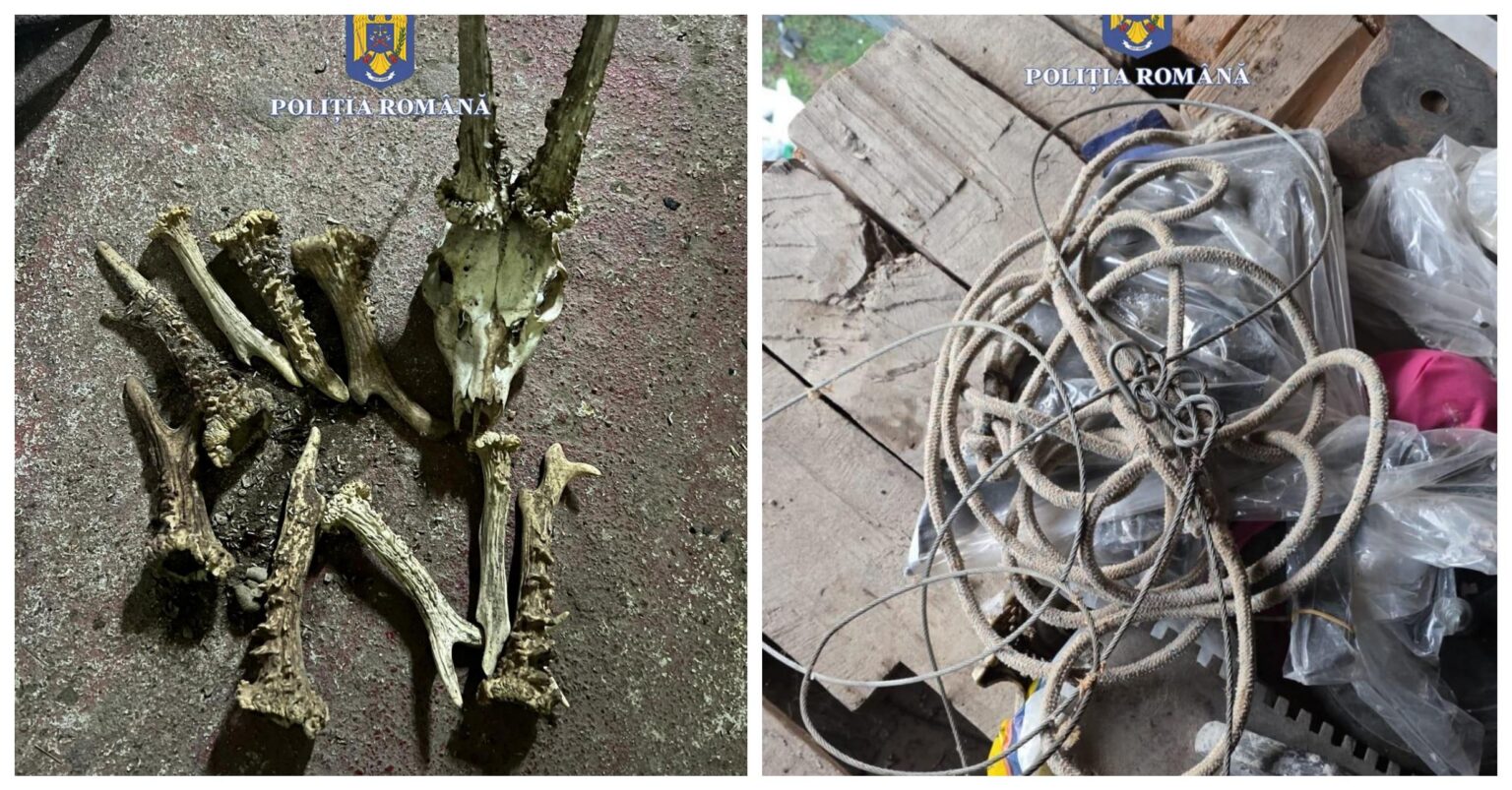 PSX_20250919_125401 - Jurnalul Olteniei – Știri din Craiova și Oltenia