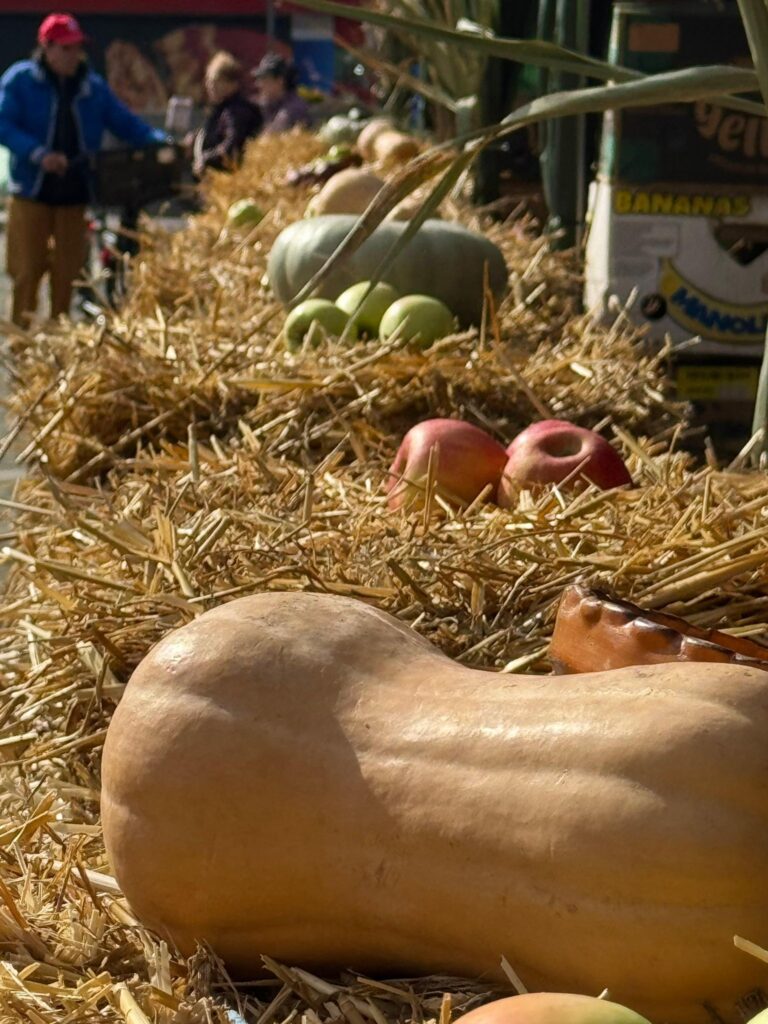 558871575_3124140884413312_2972077838019747190_n - Jurnalul Olteniei – Știri din Craiova și Oltenia