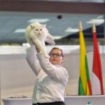 Foto: Facebook/Aurelian Ionescu