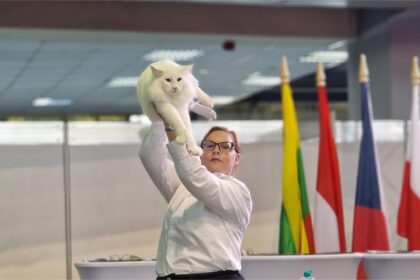 Foto: Facebook/Aurelian Ionescu