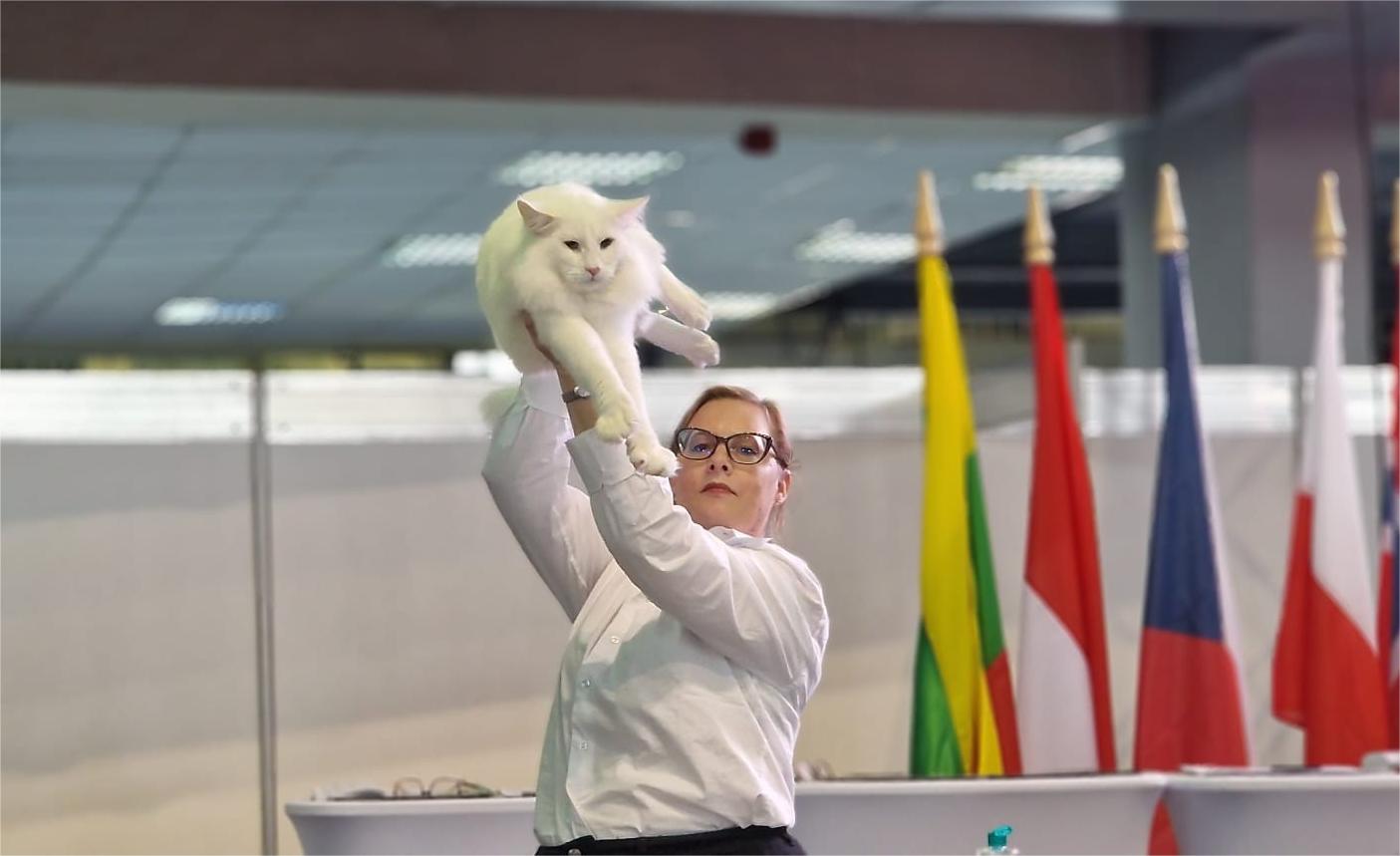 Foto: Facebook/Aurelian Ionescu