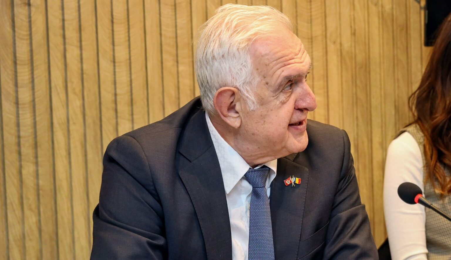 ambasadorul României în Muntenegru