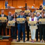 Foto: Facebook/ Alianța pentru Unirea Românilor - AUR