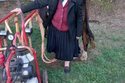 Poliția din Mehedinți a reușit să recupereze bunurile furate unei bătrâne