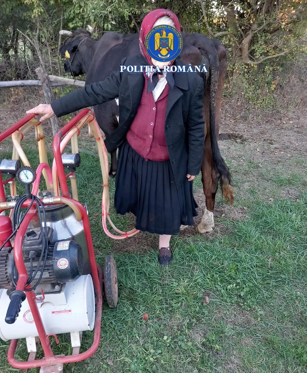 Poliția din Mehedinți a reușit să recupereze bunurile furate unei bătrâne