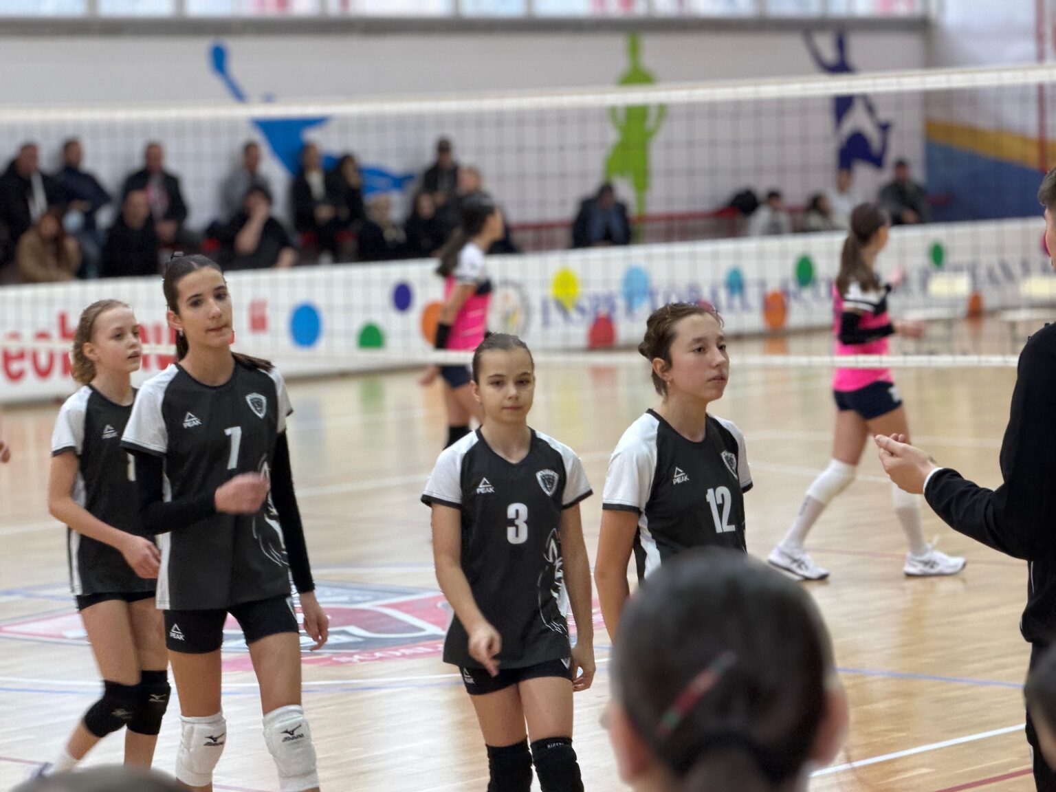 Volei feminin, din nou la Vâlcea: CS Vâlcea 1924 obține o victorie clară și continuă drumul spre performanță
