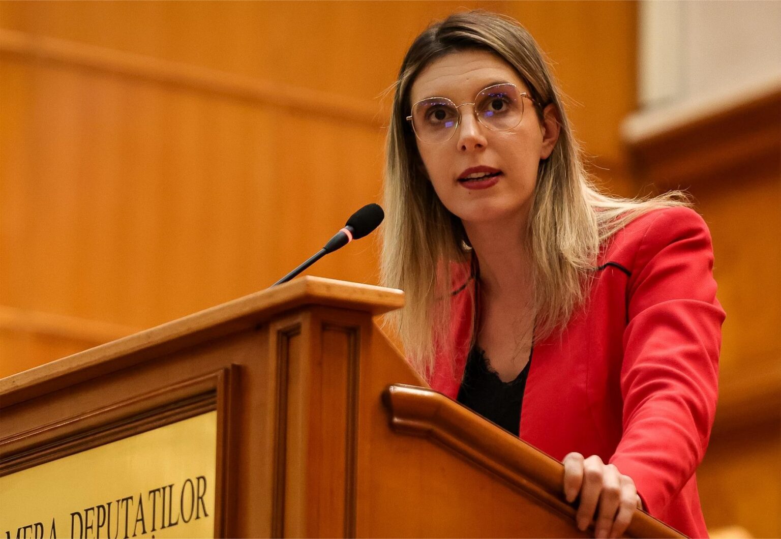 Senatorii PSD votează moțiunea împotriva Dianei Buzoianu