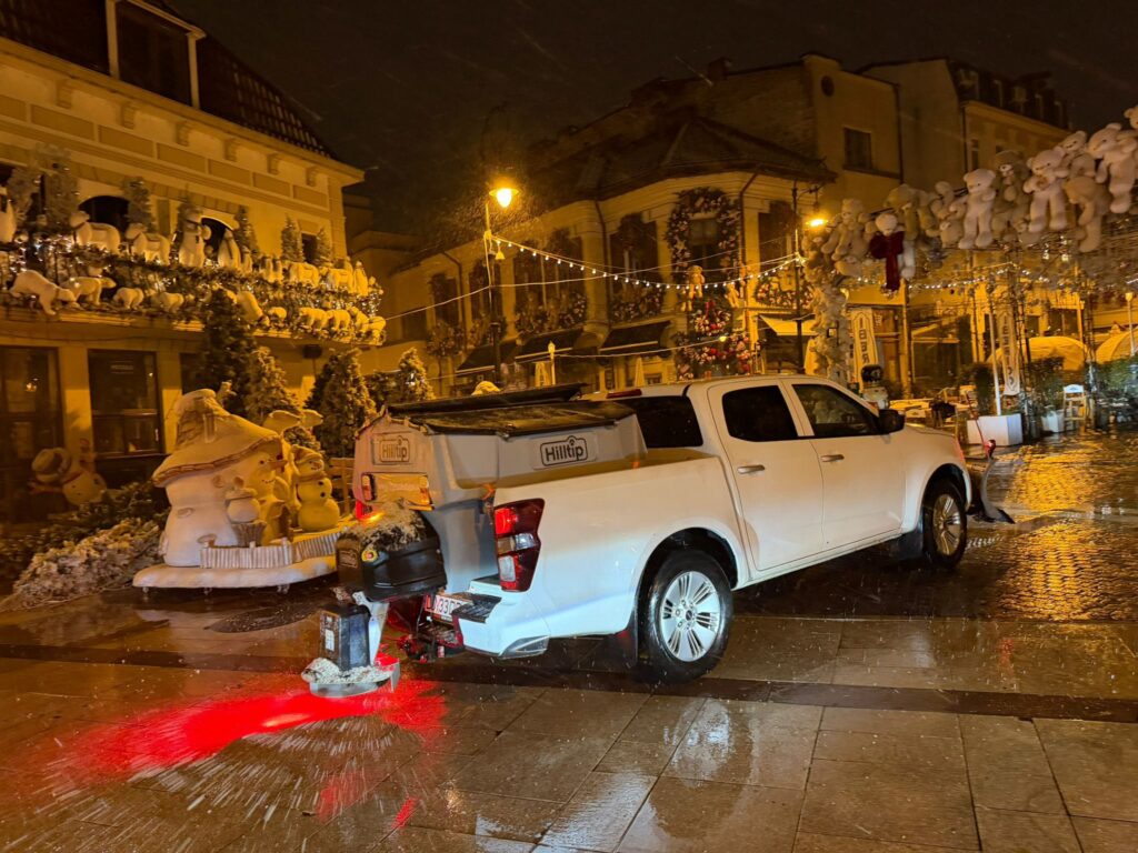 Olguța Vasilescu anunță intervenții pentru deszăpezire