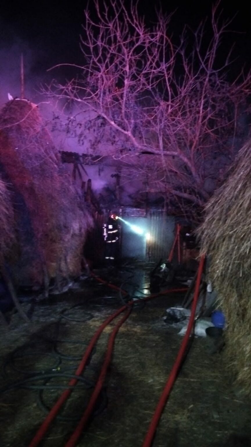 8963ab57-7dce-4cae-b942-dbb255bda832 - Jurnalul Olteniei – Știri din Craiova și Oltenia