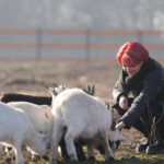 Valea Ciutelor, deschisă oficial pentru craioveni și pentru turiști