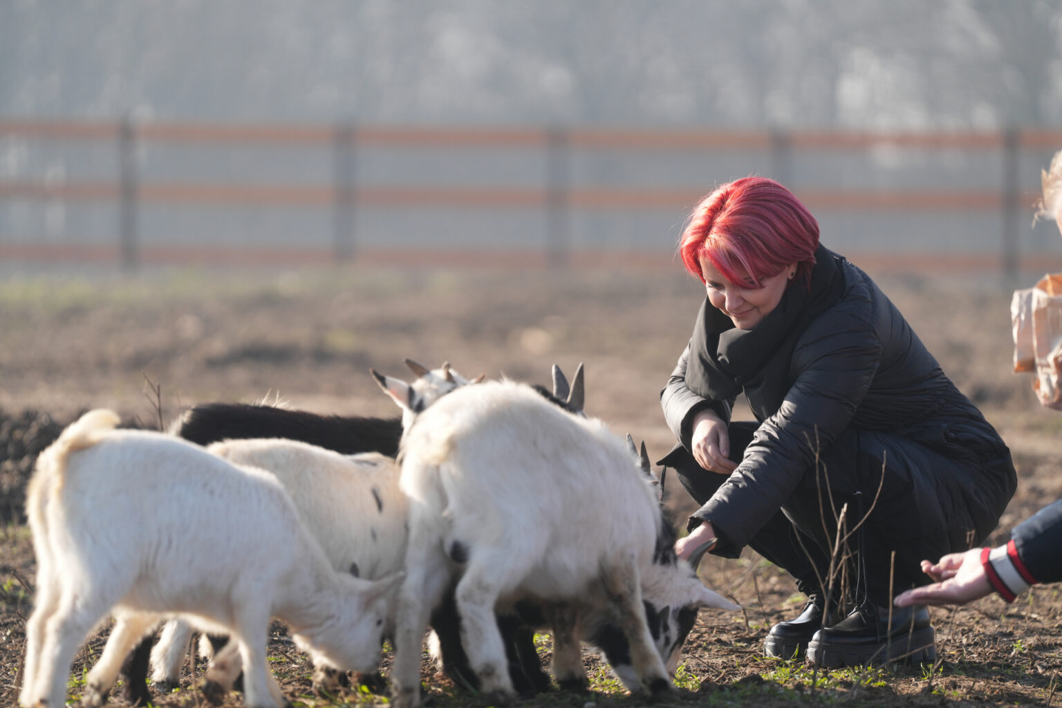 Valea Ciutelor, deschisă oficial pentru craioveni și pentru turiști