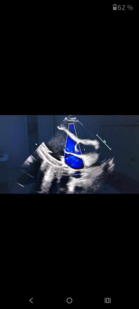 WhatsApp Image 2025-12-03 at 123654 1 - Jurnalul Olteniei – Știri din Craiova și Oltenia