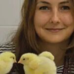 Foto: Corriere del Mezzogiorno.it