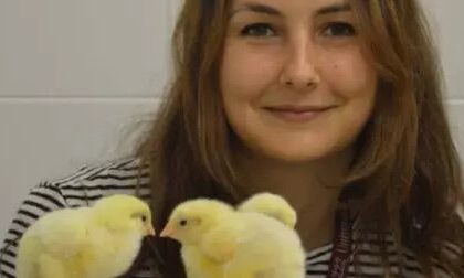 Foto: Corriere del Mezzogiorno.it