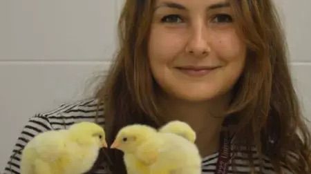 Foto: Corriere del Mezzogiorno.it