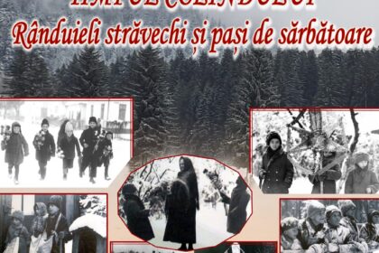 Afiș Muzeul Olteniei