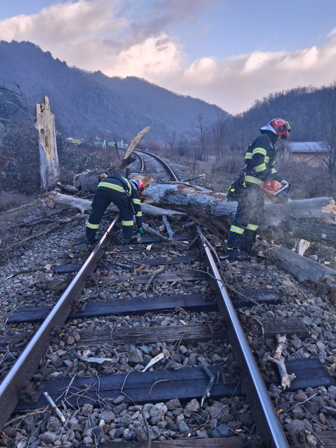 Copac căzut la Vâlcea - Jurnalul Olteniei – Știri din Craiova și Oltenia Copac căzut la Vâlcea