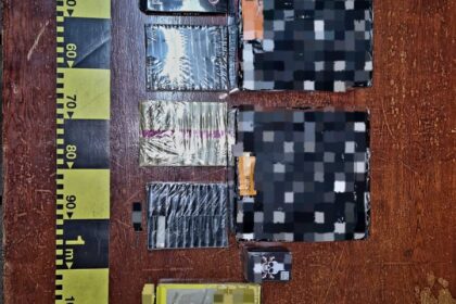 Mehedinți: Articole pirotehnice