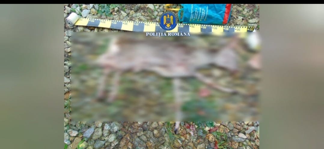 - Jurnalul Olteniei – Știri din Craiova și Oltenia