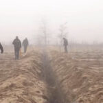 Jaf colosal în „Sahara Olteniei”: Tranșee de 2 km săpate manual pentru a fura conducte de irigații