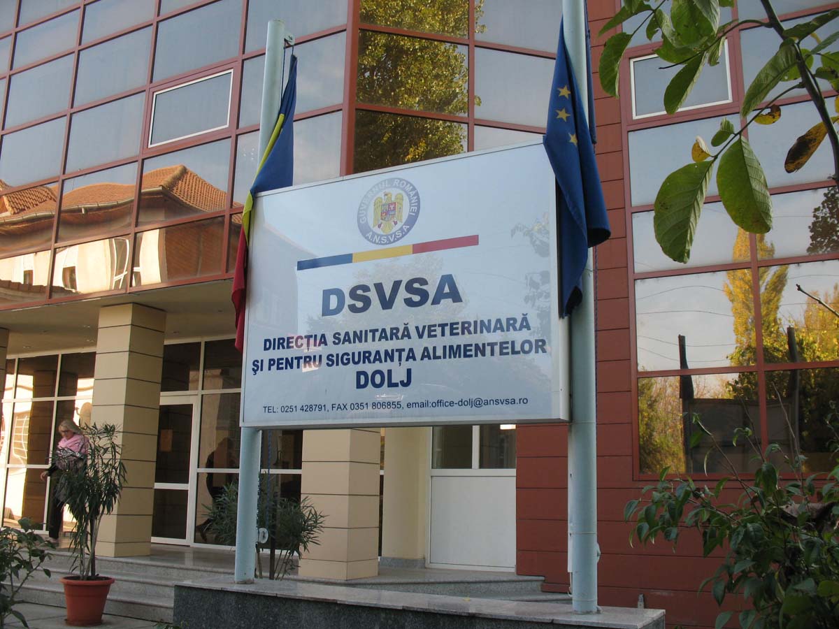 dsvsa dolj 468947589_588229130331797_4392823647831281323_n - Jurnalul Olteniei – Știri din Craiova și Oltenia